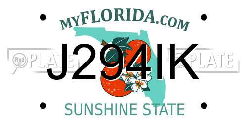 J294IK Florida License Plate