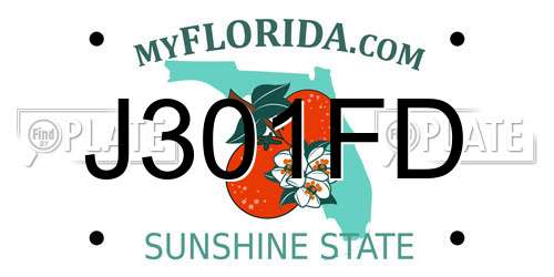 J301FD Florida License Plate