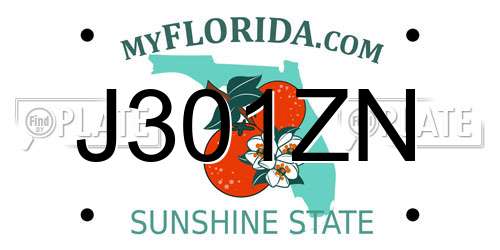 J301ZN Florida License Plate
