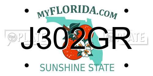 J302GR Florida License Plate