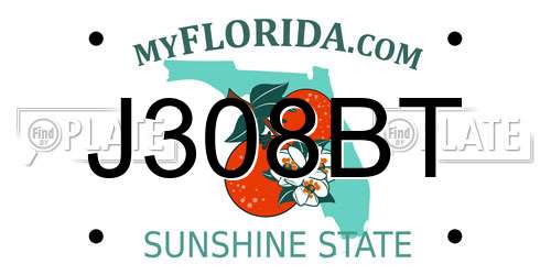 J308BT Florida License Plate