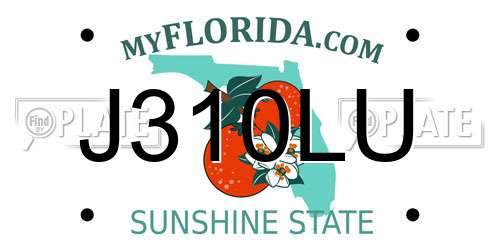 J310LU Florida License Plate