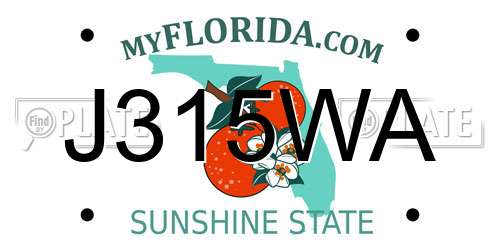 J315WA Florida License Plate