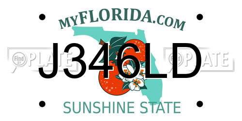 J346LD Florida License Plate