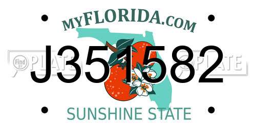 J351582 Florida License Plate
