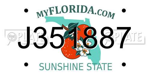 J351887 Florida License Plate