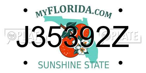 J35392Z Florida License Plate