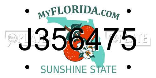 J356475 Florida License Plate
