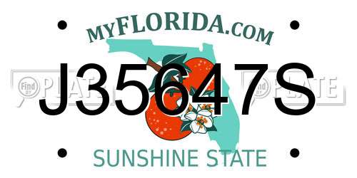 J35647S Florida License Plate