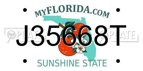 J35668T Florida License Plate