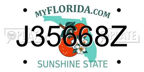 J35668Z Florida License Plate
