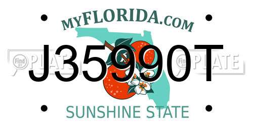 J35990T Florida License Plate