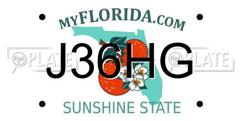 J36HG Florida License Plate