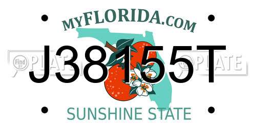 J38155T Florida License Plate