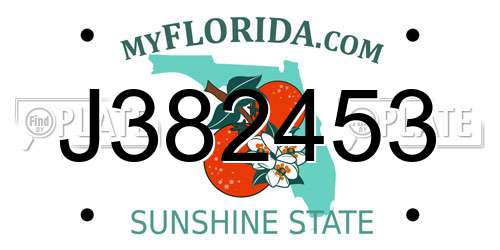 J382453 Florida License Plate