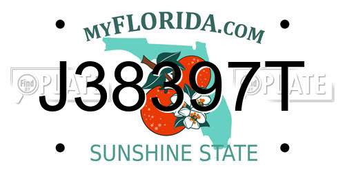 J38397T Florida License Plate