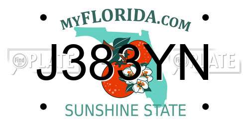 J383YN Florida License Plate