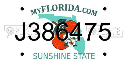 J386475 Florida License Plate