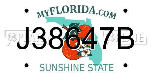 J38647B Florida License Plate