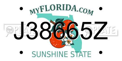 J38665Z Florida License Plate