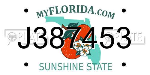 J387453 Florida License Plate