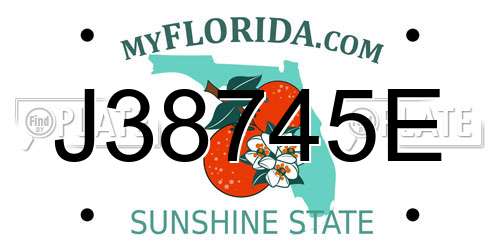 J38745E Florida License Plate