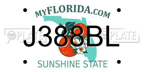 J388BL Florida License Plate
