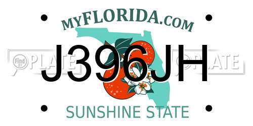J396JH Florida License Plate