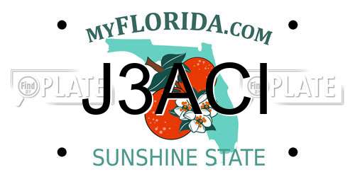 J3ACI Florida License Plate
