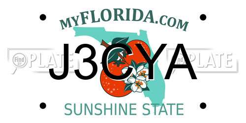 J3CYA Florida License Plate