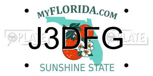J3DFG Florida License Plate