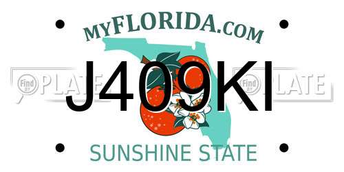 J409KI Florida License Plate