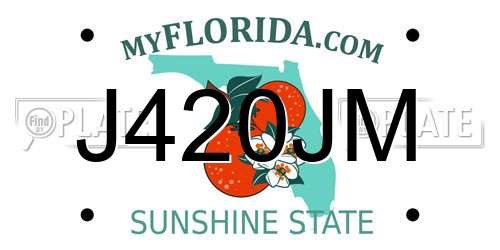 J420JM Florida License Plate