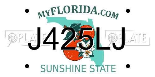 J425LJ Florida License Plate