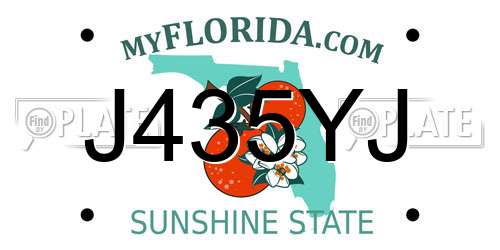 J435YJ Florida License Plate