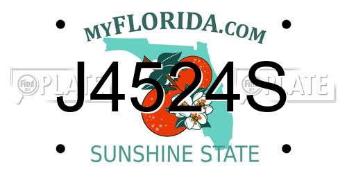 J4524S Florida License Plate