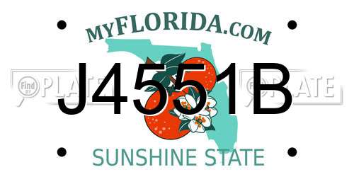 J4551B Florida License Plate