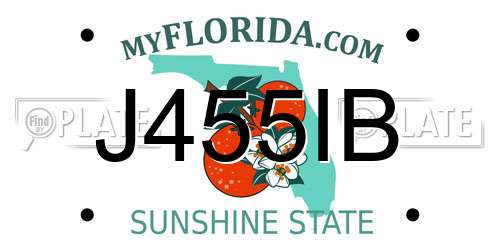 J455IB Florida License Plate