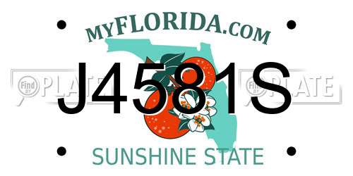 J4581S Florida License Plate