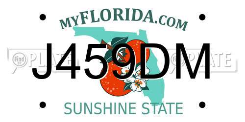 J459DM Florida License Plate