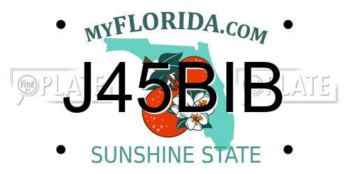 J45BIB Florida License Plate