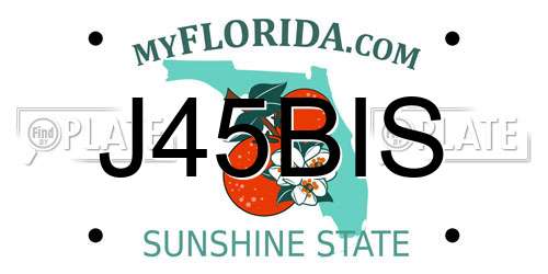J45BIS Florida License Plate
