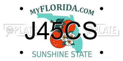 J45CS Florida License Plate