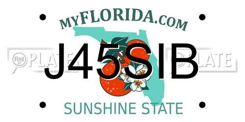 J45SIB Florida License Plate