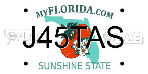 J45TAS Florida License Plate