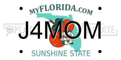 J4MOM Florida License Plate