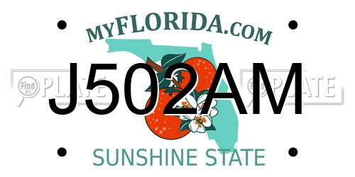 J502AM Florida License Plate