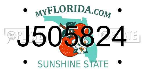 J505824 Florida License Plate