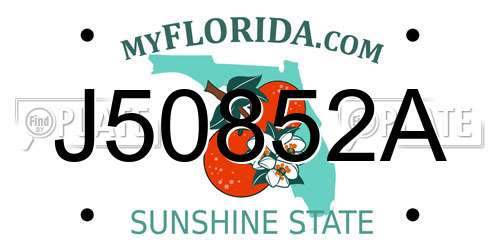 J50852A Florida License Plate