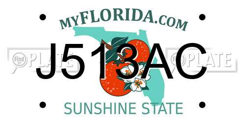 J513AC Florida License Plate